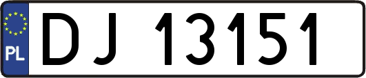 DJ13151