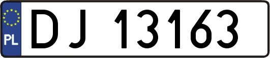 DJ13163
