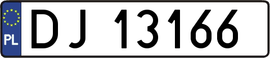 DJ13166