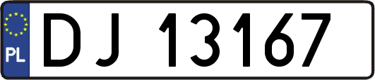 DJ13167