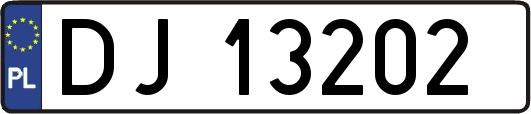 DJ13202