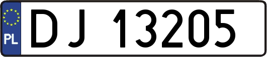 DJ13205