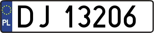 DJ13206
