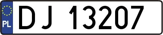 DJ13207