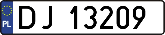 DJ13209