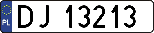 DJ13213