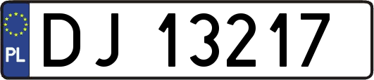 DJ13217