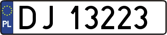 DJ13223