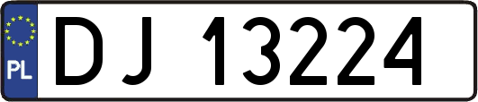 DJ13224