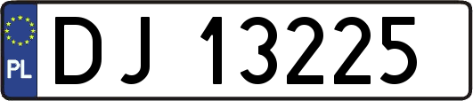 DJ13225