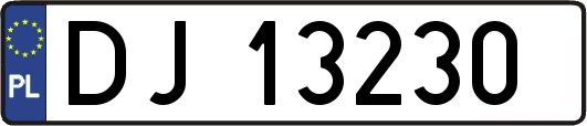DJ13230