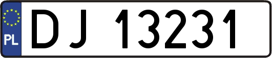 DJ13231