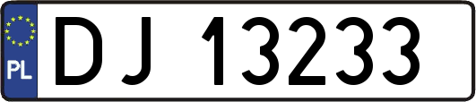 DJ13233