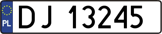 DJ13245