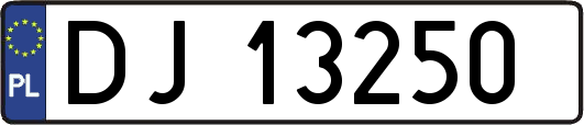 DJ13250