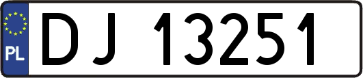 DJ13251