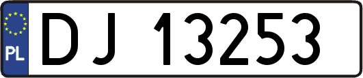 DJ13253