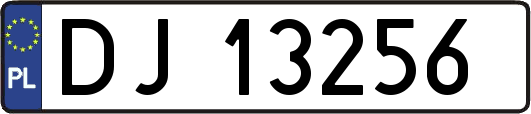 DJ13256