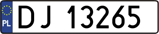 DJ13265