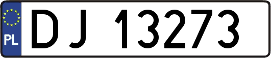 DJ13273