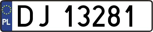 DJ13281