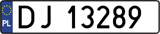 DJ13289