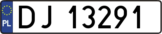 DJ13291