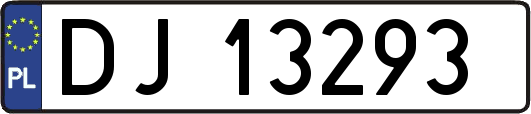 DJ13293