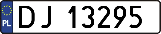 DJ13295