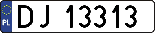 DJ13313