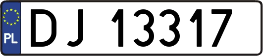 DJ13317