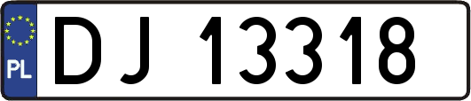 DJ13318