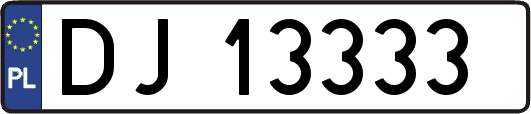 DJ13333