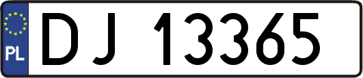 DJ13365