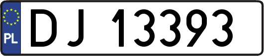 DJ13393