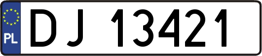 DJ13421
