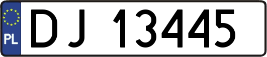 DJ13445