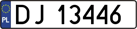 DJ13446