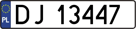 DJ13447