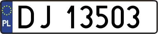 DJ13503