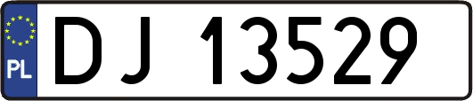 DJ13529