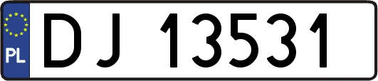 DJ13531