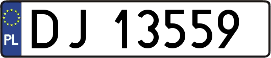 DJ13559