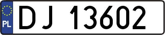 DJ13602