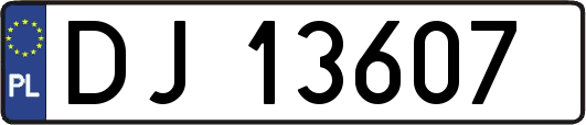 DJ13607