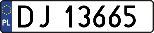 DJ13665