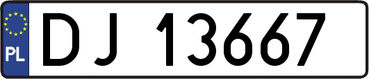 DJ13667