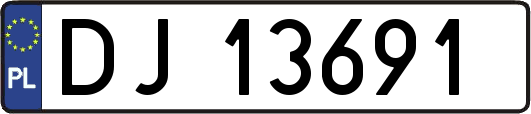 DJ13691