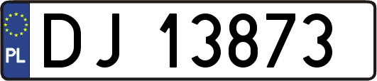 DJ13873