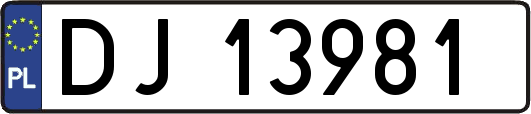 DJ13981